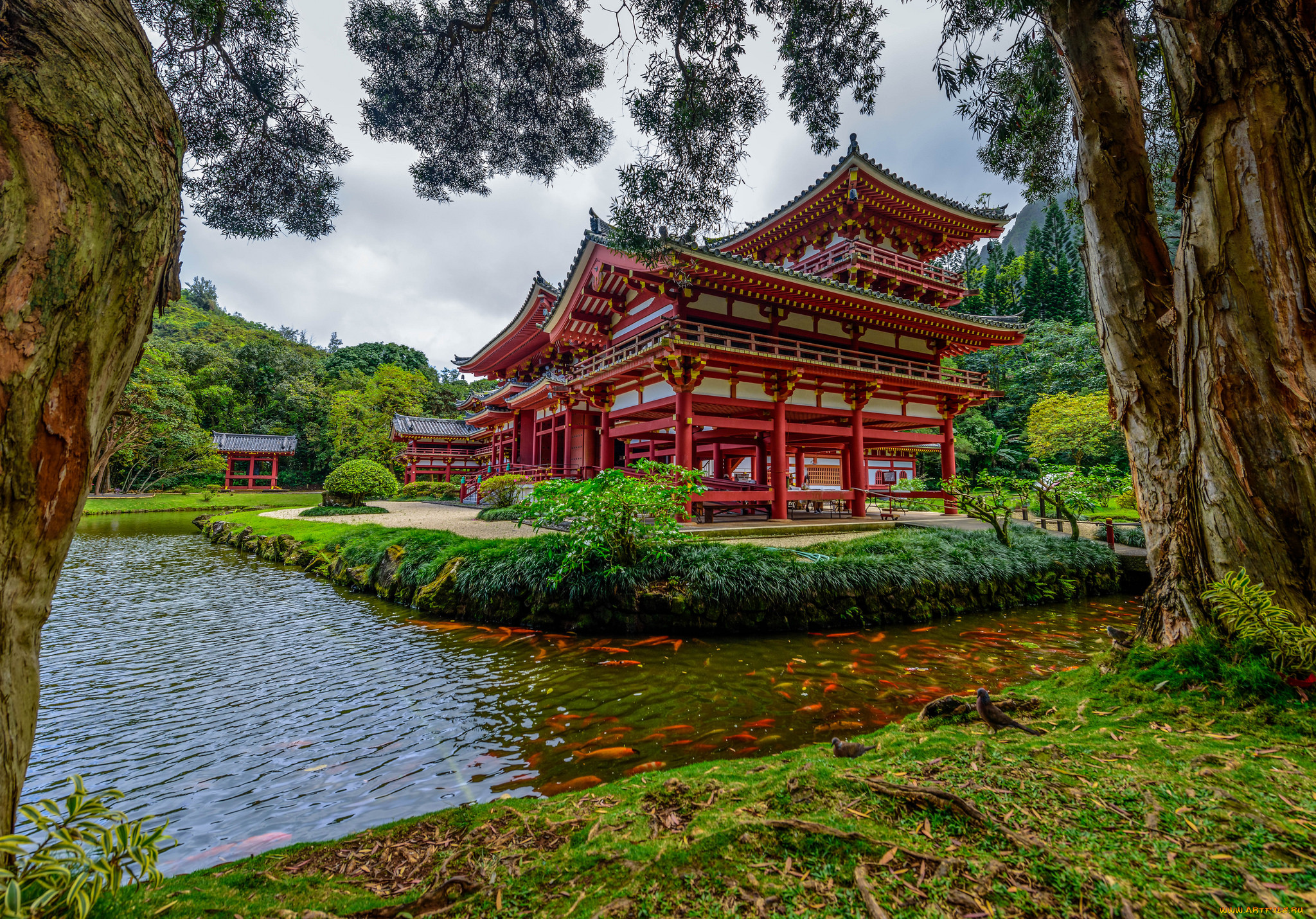 buddhist temple, , -    , , , 
